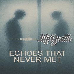 Echoes That Never Met
