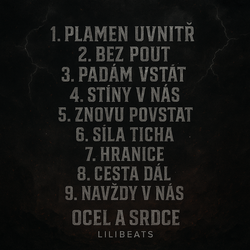 Ocel a Srdce